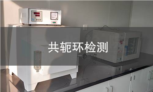 共轭环检测