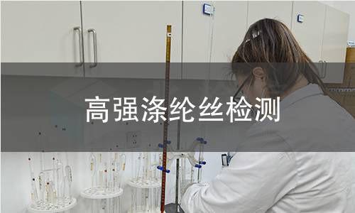 高强涤纶丝检测