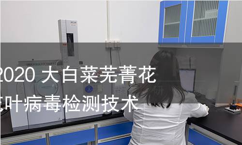 DB37/T 3894-2020 大白菜芜菁花叶病毒、黄瓜花叶病毒检测技术规程
