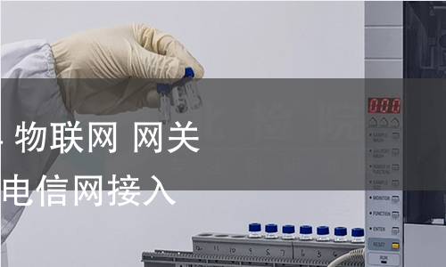 GB/T 38624.3-2024 物联网 网关 第3部分：面向公共电信网接入的网关测试方法