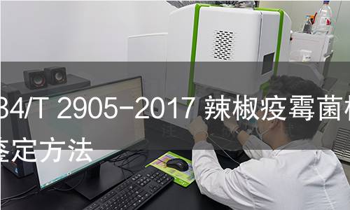 DB34/T 2905-2017 辣椒疫霉菌检测鉴定方法