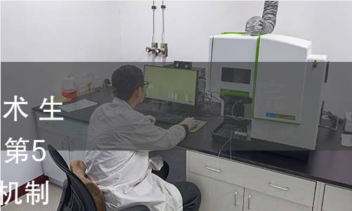 GB/T 29268.5-2022 信息技术 生物特征识别性能测试和报告 第5部分：访问控制场景与分级机制