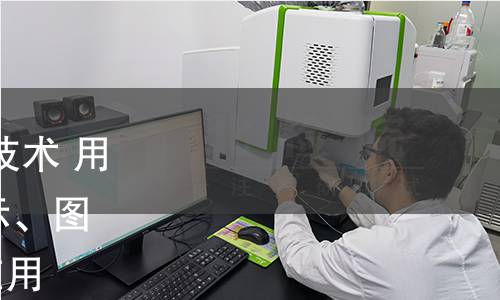 GB/T 40694.4-2022 信息技术 用于生物特征识别系统的图示、图标和符号 第4部分：指纹应用