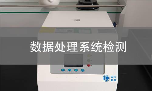 数据处理系统检测
