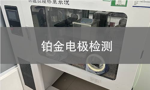 铂金电极检测