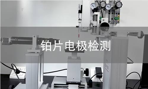 铂片电极检测
