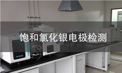 饱和氯化银电极检测