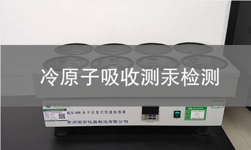 冷原子吸收测汞检测