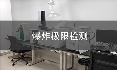 爆炸极限检测