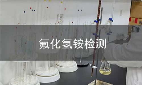 氟化氢铵检测