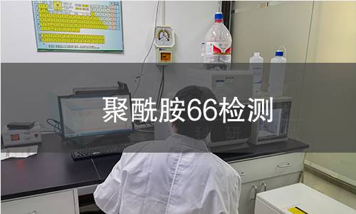 聚酰胺66检测