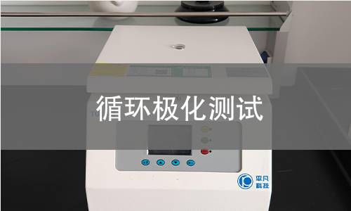 循环极化测试
