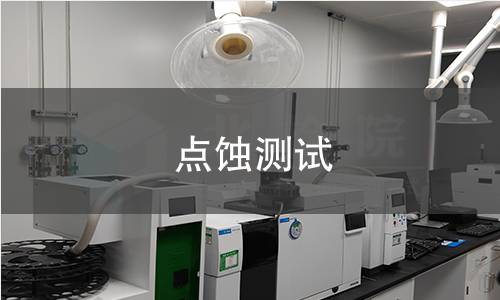 点蚀测试