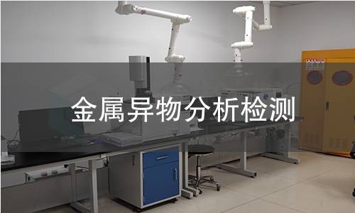 金属异物分析检测