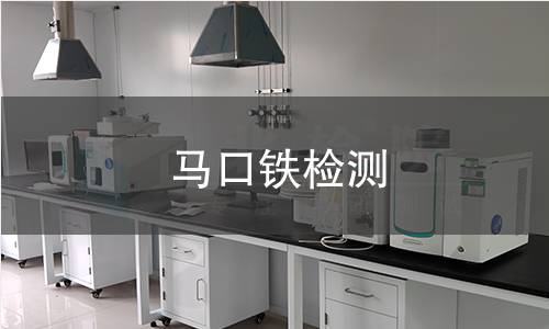 马口铁检测