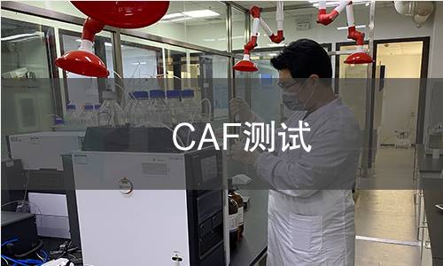 CAF测试