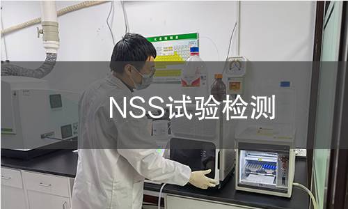 NSS试验检测
