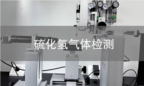 硫化氢气体检测