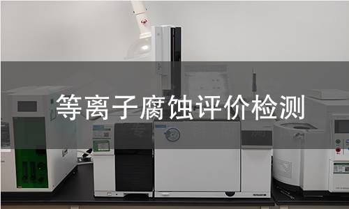等离子腐蚀评价检测