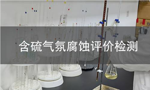 含硫气氛腐蚀评价检测
