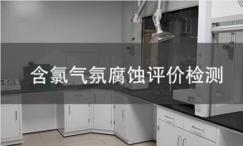 含氯气氛腐蚀评价检测