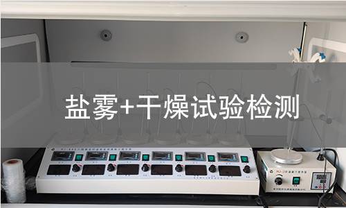 盐雾+干燥试验检测