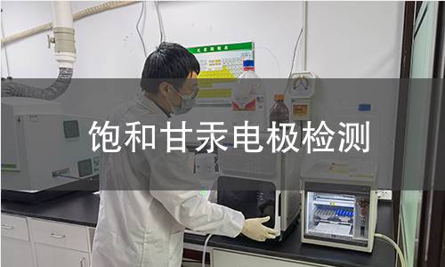 饱和甘汞电极检测