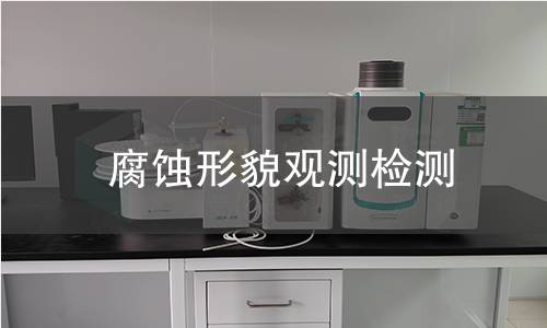 腐蚀形貌观测检测