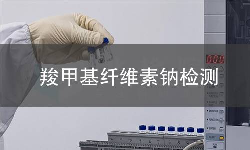 羧甲基纤维素钠检测