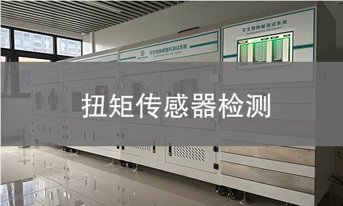 扭矩传感器检测