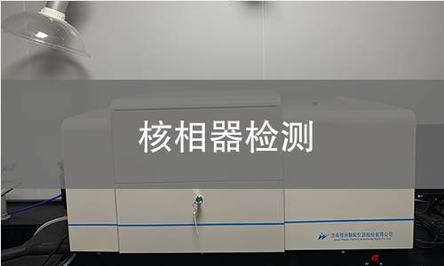 核相器检测