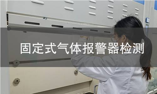 固定式气体报警器检测