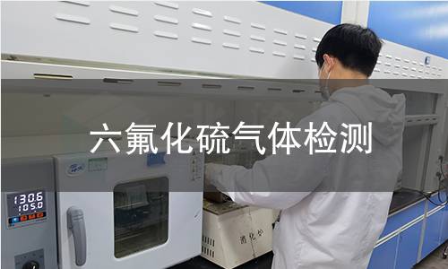 六氟化硫气体检测