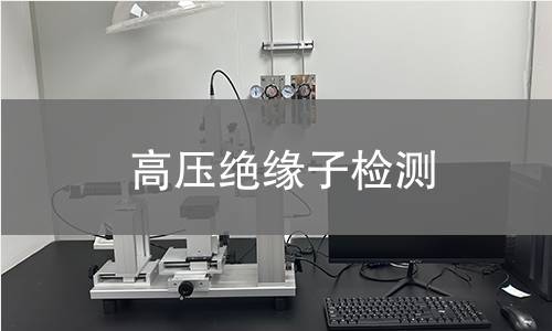 高压绝缘子检测