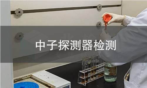 中子探测器检测