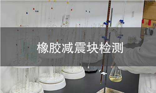 橡胶减震块检测