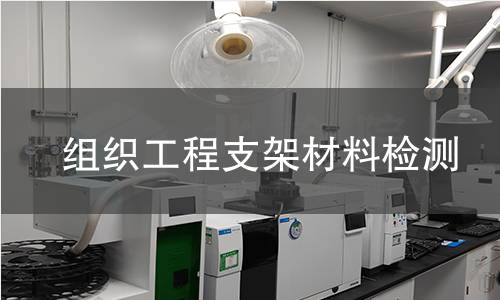 组织工程支架材料检测