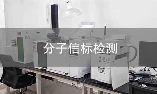 分子信标检测