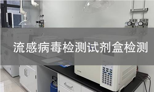 流感病毒检测试剂盒检测