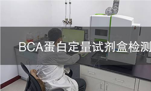 BCA蛋白定量试剂盒检测
