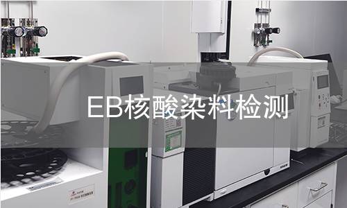 EB核酸染料检测
