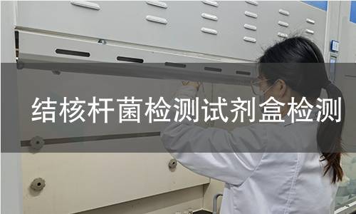 结核杆菌检测试剂盒检测