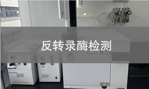 反转录酶检测